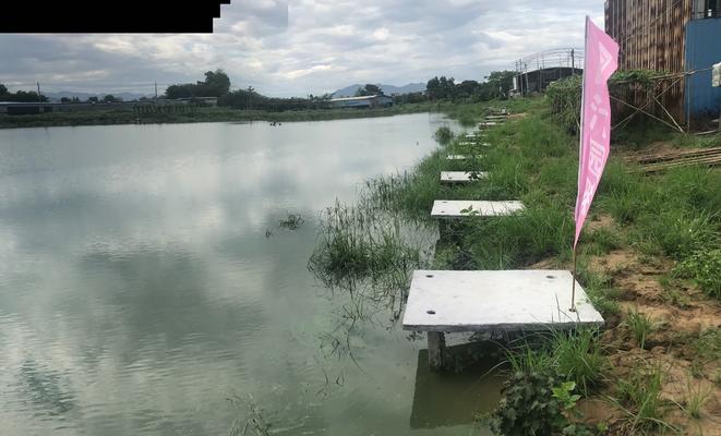 雨后鱼塘钓鱼技巧（冬天钓鱼）