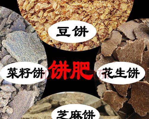 碎豆饼钓鱼打窝的技巧与方法（钓鱼新手必备）