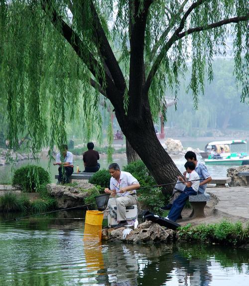 钓鱼技巧（钓鱼的好时机与技巧分享）