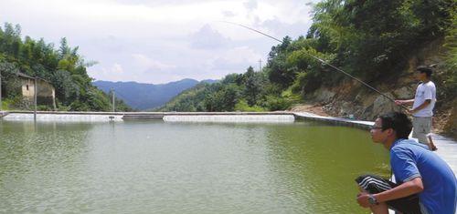 肥水湖钓鱼技巧（掌握钓鱼技巧）