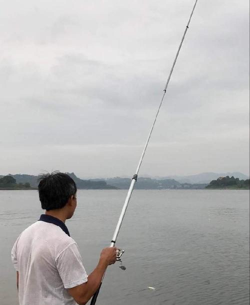 肥水湖钓鱼技巧（掌握钓鱼技巧）