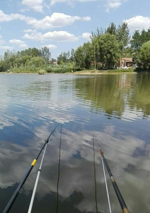 初夏钓鱼技巧，轻松享受肥水塘的丰收（透过初夏钓鱼技巧）