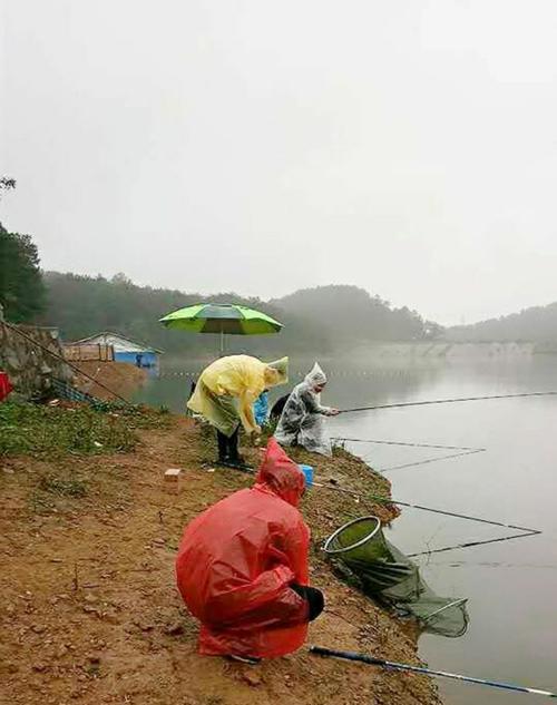 秋冬钓鱼技巧——肥水塘（钓鱼技巧）