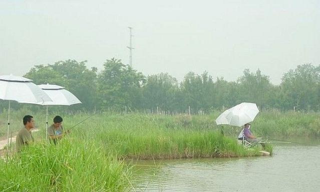 秋冬钓鱼技巧——肥水塘（钓鱼技巧）