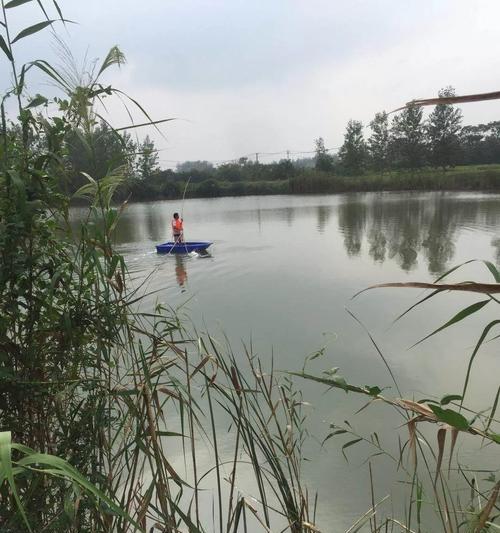 夏季钓鱼技巧（钓鱼爱好者必备的夏日娱乐活动）