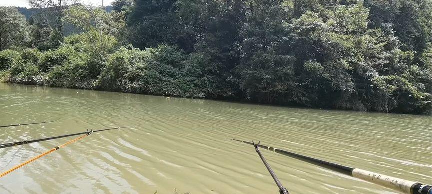 肥水野塘钓鱼技巧大揭秘（掌握肥水野塘钓鱼的窍门）