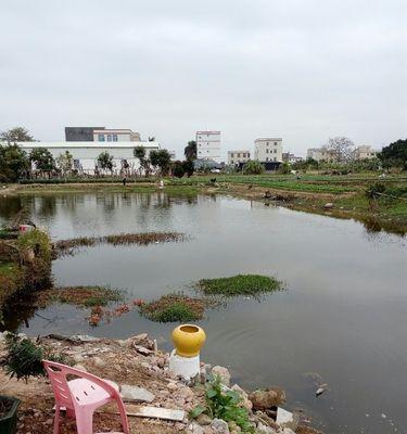 废弃沙石鱼塘钓鱼技巧（挖掘宝藏）