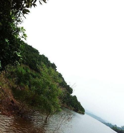 风平浪静，钓鱼妙招揭秘（以水库为舞台）