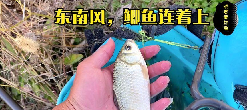 以风天钓鱼的技巧分析（探究风天钓鱼的策略和要点）