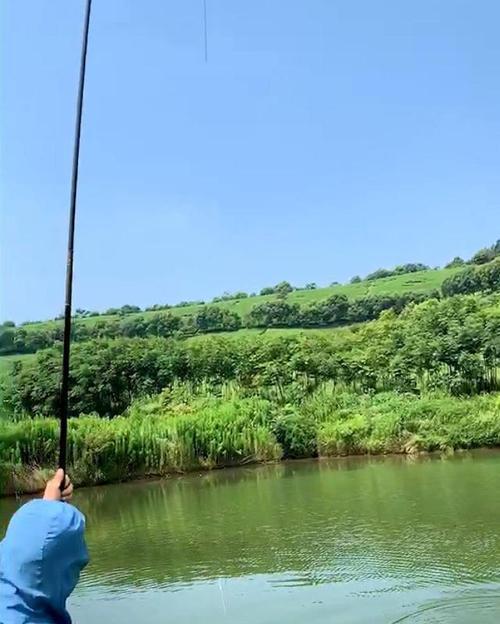 夏日钓鱼技巧（享受伏天）