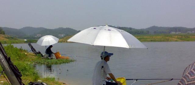 夏日钓鱼技巧（享受伏天）