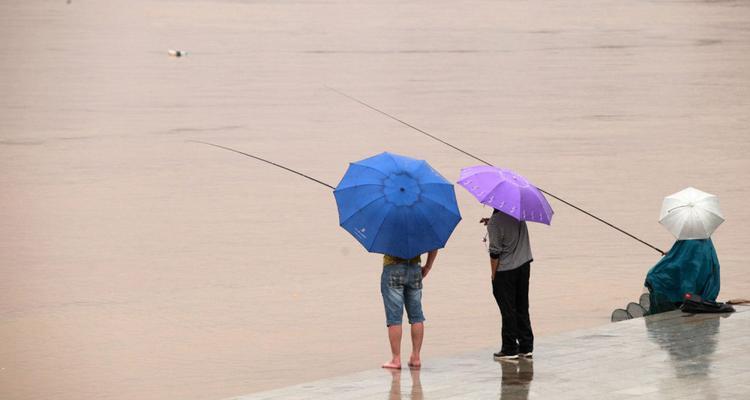 夏季钓鱼技巧与注意事项（以伏天钓鱼有何需要注意的技巧和要点）