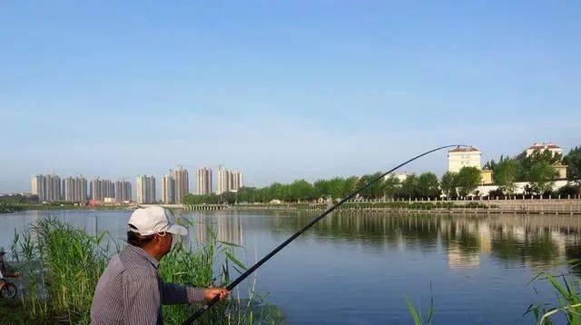 夏日钓鱼的技巧与窍门（以伏天为例）