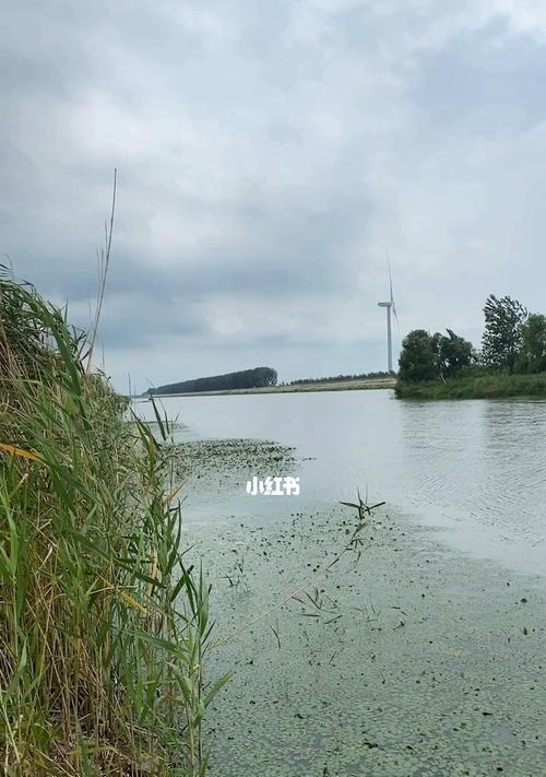 夏日炎炎，钓鱼技巧大揭秘（钓鱼技巧让您轻松应对炎热的夏天）