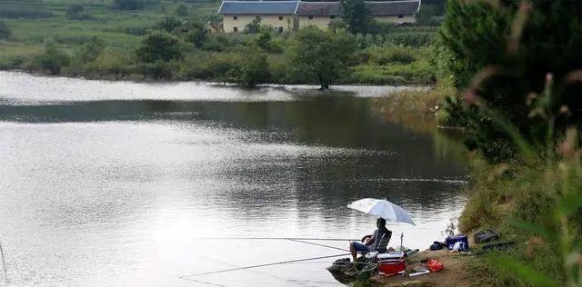 探寻伏天水库钓鱼技巧（解析伏天水库的钓鱼秘籍）