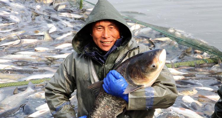 冬季钓鲢鱼技巧大揭秘（浮钓技巧帮你冬季轻松钓鲢鱼）