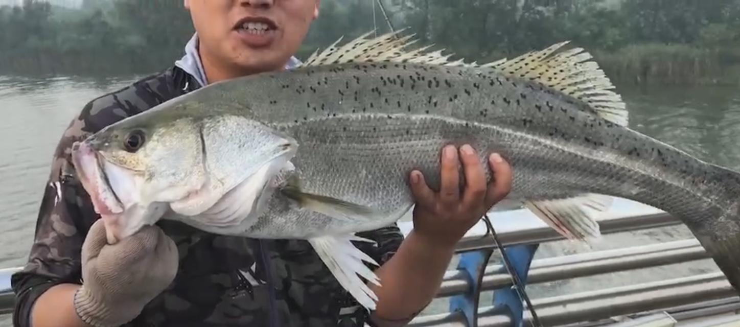 浮漂钓海鲈鱼的技巧与方法（轻松掌握）