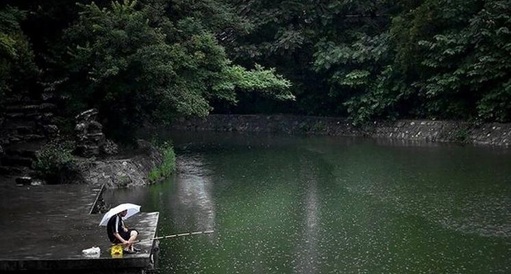 刮风时池塘湖库钓鱼技巧（提高钓鱼成功率的方法和技巧）