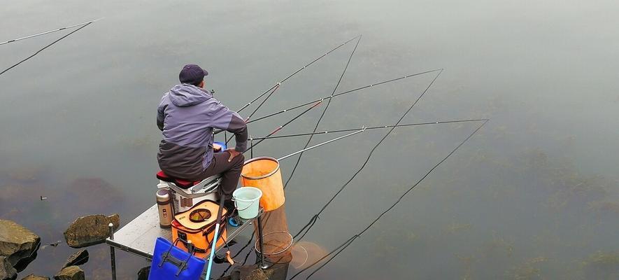 钓浮技巧与方法（掌握钓浮的关键）