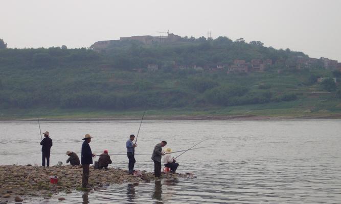 伏天钓鱼技巧大全（打造专属夏日垂钓乐园）