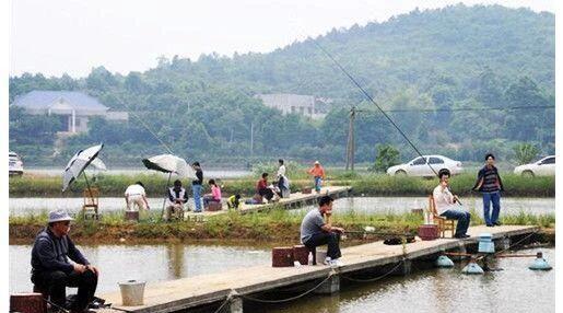 观音湖钓鱼实战技巧（钓鱼技巧大公开）