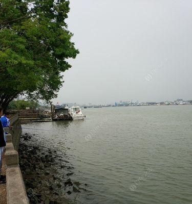 广东江河里野钓技巧（探秘广东江河里的钓鱼技巧）