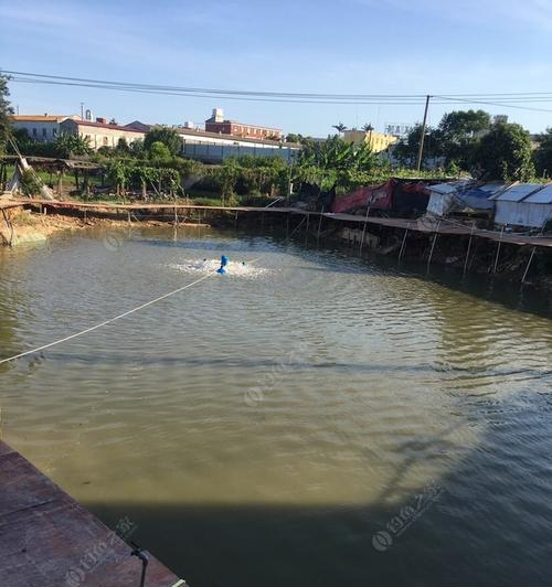 广东水深钓鱼技巧（掌握水深钓鱼的关键）