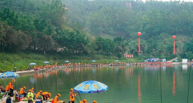 广东夏天黑坑钓鱼技巧（掌握关键技巧轻松钓鱼畅享夏日乐趣）