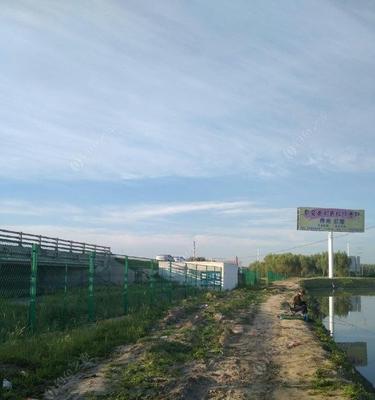 野钓荷花鲤鱼的技巧与经验（广西柳州地区荷花鲤钓法分享）