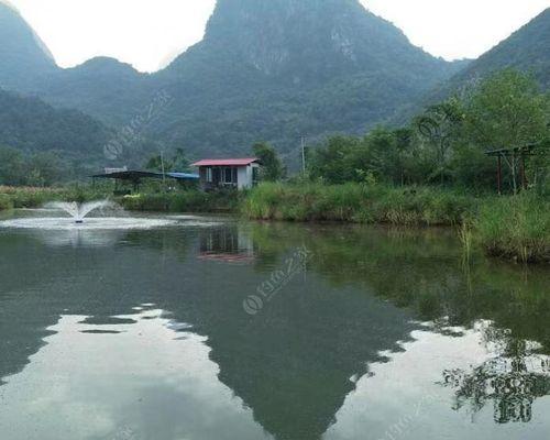 广西长岭水库钓鱼技巧（探秘广西长岭水库的钓鱼技巧）