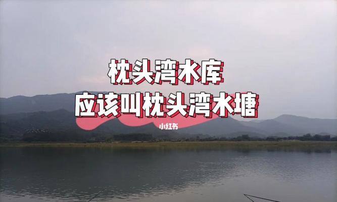 广州冬季钓鱼技巧全知识（提升钓鱼成功率的关键技巧）