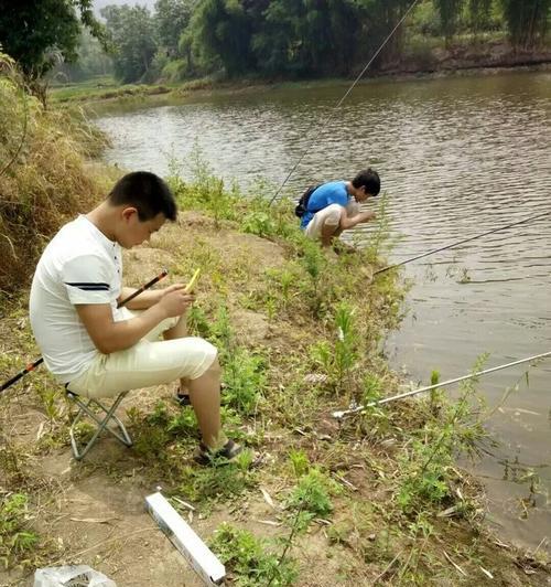 广州水库野钓鲤鱼技巧与方法（探索广州水库的鲤鱼钓鱼技巧）