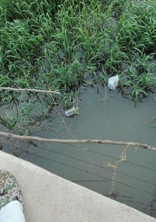 广州野外钓小龙虾的技巧（掌握钓鱼技巧）