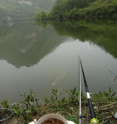 贵阳小关水库钓鱼技巧（探寻贵阳小关水库的钓鱼秘籍）