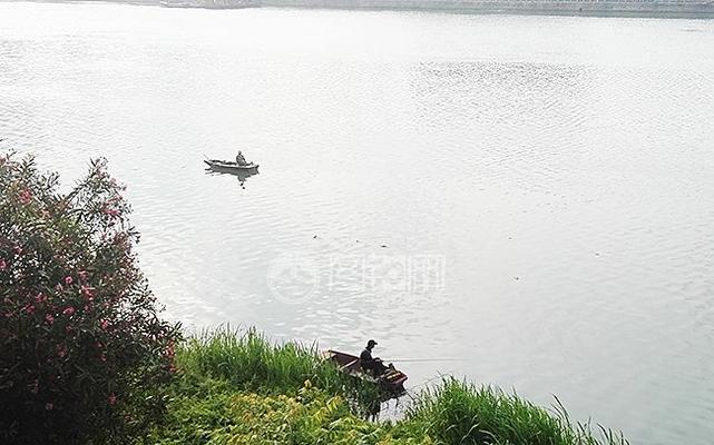 国外热带雨林野钓技巧（探寻热带雨林钓鱼的秘密）