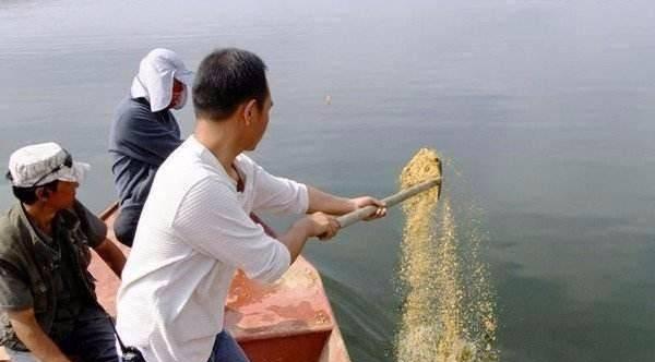 过年钓鱼打窝技巧（掌握窝位选取和鱼饵搭配的关键）