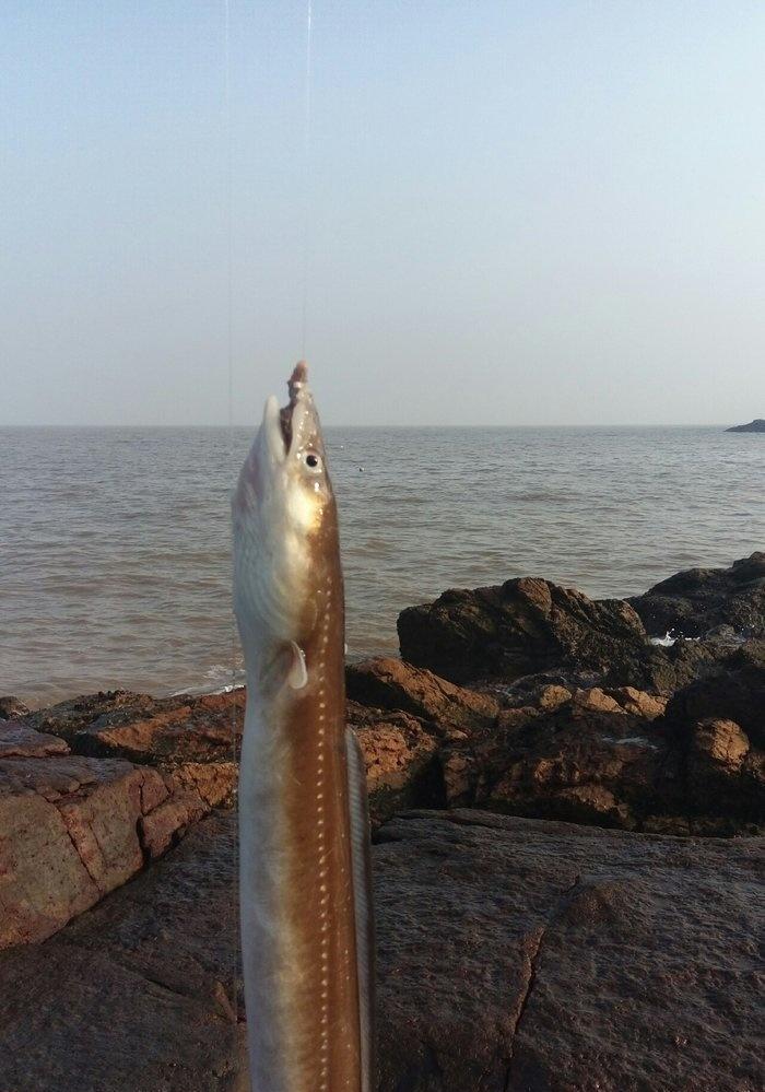 海边垂钓技巧教程（轻松掌握）