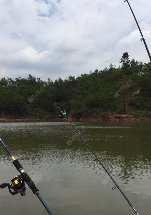 海边钓鱼的技巧与方法（掌握海竿的关键）