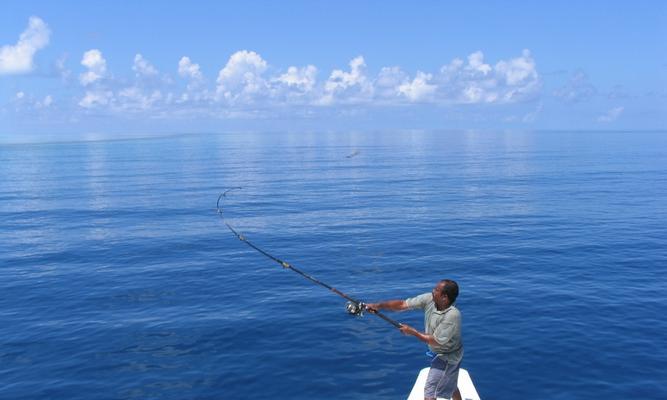 海边钓鱼技巧小知识（海钓技巧）