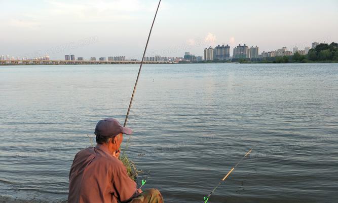 海边钓鱼的时间技巧和方法（钓鱼爱好者必备的海边垂钓指南）