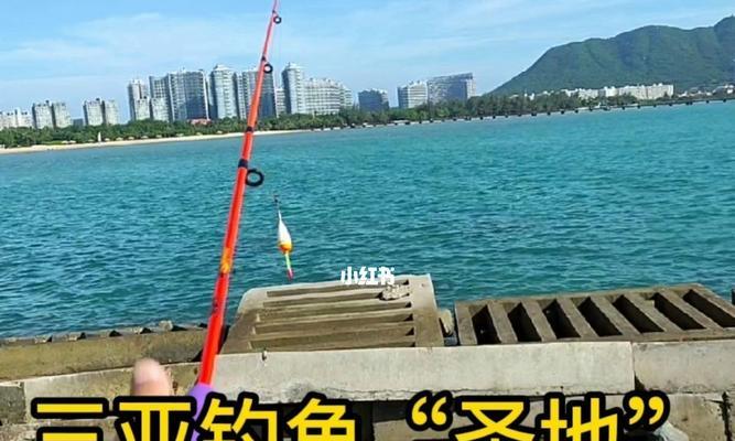 海边钓鱼收获技巧教程（捕获满载而归的鱼群）