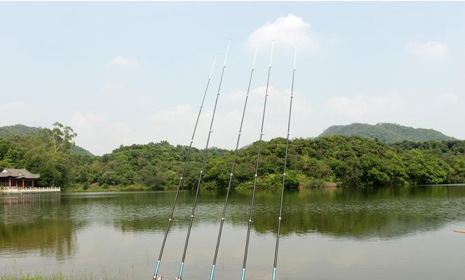 海边钓鱼甩竿技巧（掌握技巧）