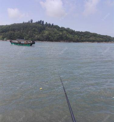 海边钓鱼技巧大揭秘（让你的海钓之旅更加成功）