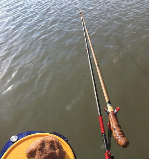 海边风浪钓鱼技巧教学（掌握钓鱼技巧）