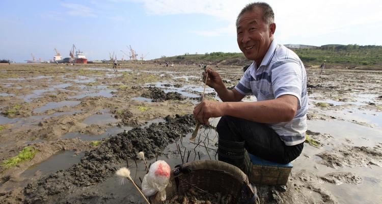 海边码头钓鱼技巧之挂死虾法（用挂死虾法在海边码头钓鱼）