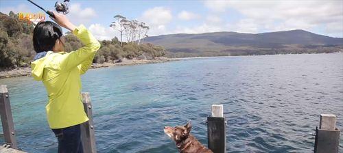 海边沙滩钓鱼技巧大全（提升钓鱼成功率）