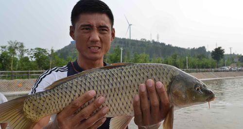 海边沙滩钓鱼游泳技巧与方法（享受海滩乐趣）