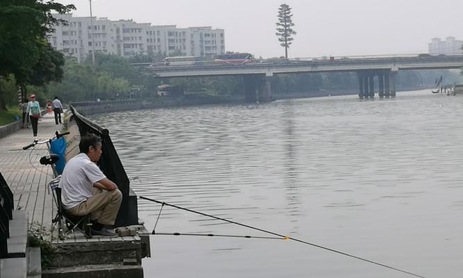 海边晒太阳钓鱼的技巧（享受阳光与钓鱼的乐趣）