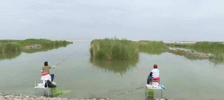 海边湾子钓鱼技巧（掌握关键技巧）