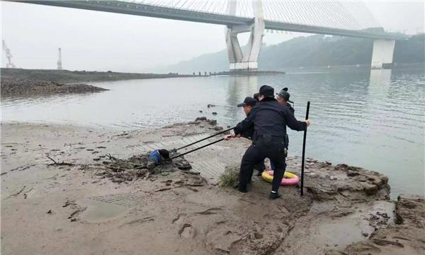 海边淤泥钓鱼的方法与技巧（掌握沙滩淤泥钓鱼）